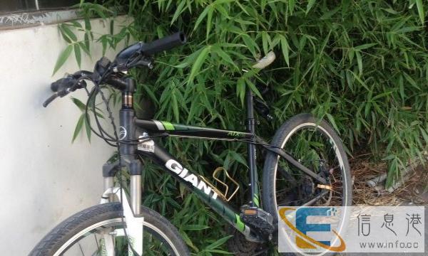 捷安特自行车,九成新,便宜卖了 送码,头盔