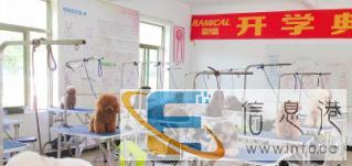 宠物美容培训学校