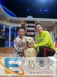 沈阳宠物专业训练寄养学校，大小型犬寄养