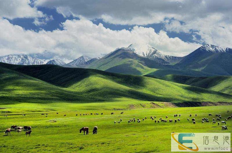 诺尔嘉 来福士店