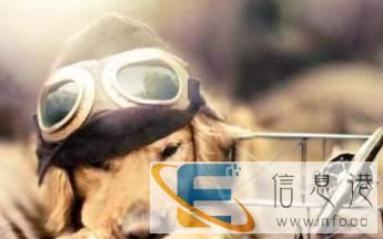 宠物托运中心欢迎你