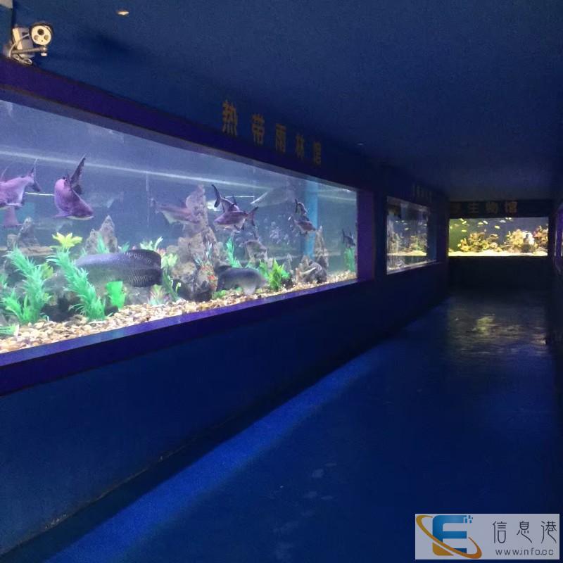 房地产海洋展活动方案-广州出售海洋生物展览租赁价格