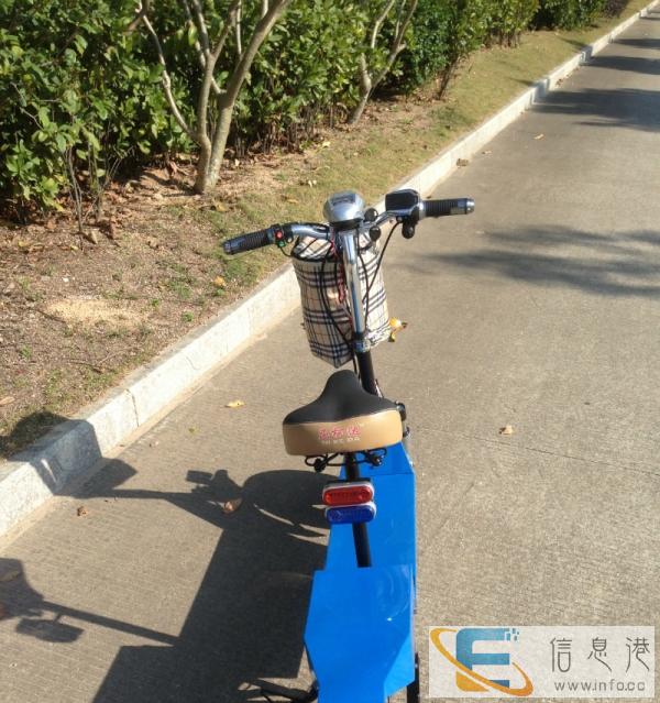 电动车 电动滑板车 代步车 迷你车 电动自行