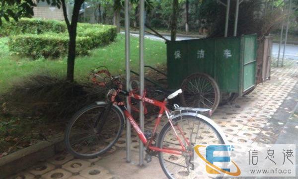 公路车毕业便宜甩