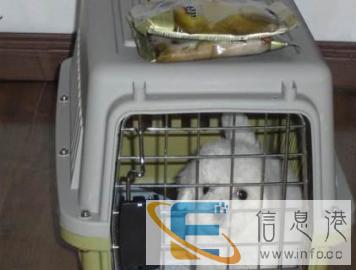 宠物托运中心欢迎你