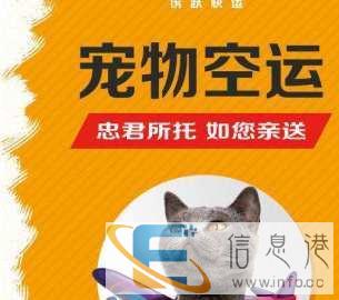 宠物托运，安全放心