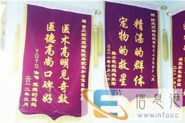 四川永胜附近比较正规的宠物医院