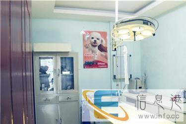 四川武胜附近比较靠谱的宠物医院