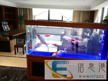 聚源水族馆你身边的养鱼专家