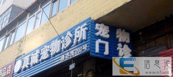 哈尔滨宠物医院24小时出诊服务，真诚宠物医院