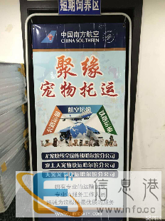 宠物托运,放心的选择