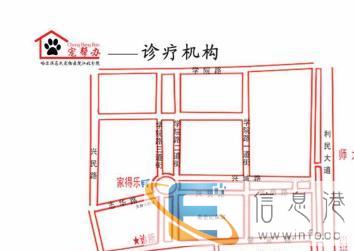 哈尔滨宠物医院江北学院路附近较好的宠物医院
