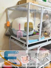 家庭式宠物寄养，猫咪寄养，狗狗寄养