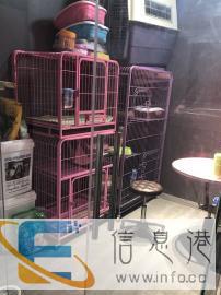 熙曼高端宠物店宠物寄养宠物托运30元