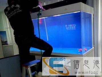 专业清洗鱼缸维修鱼缸