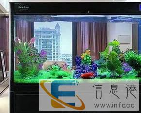 水族服务价格面议