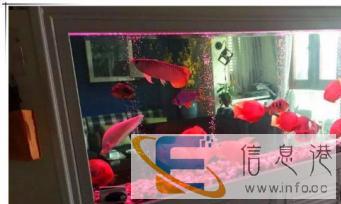 专业清洗鱼缸定制鱼缸