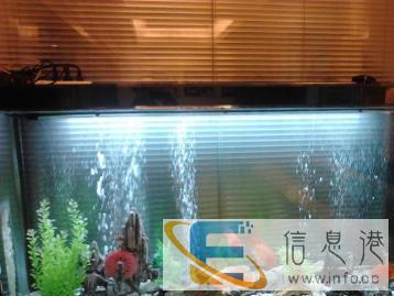 专业清洗鱼缸滤材器材