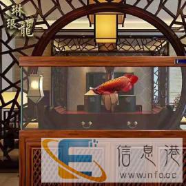 专业清洗鱼缸维修鱼缸定制鱼缸