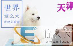 环众宠物,专业办理宠物托运,随机,单运,办理检疫证