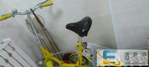 一年折叠自行车