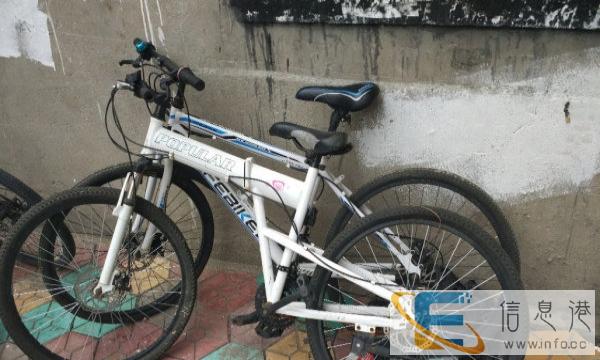 自家山地自行车