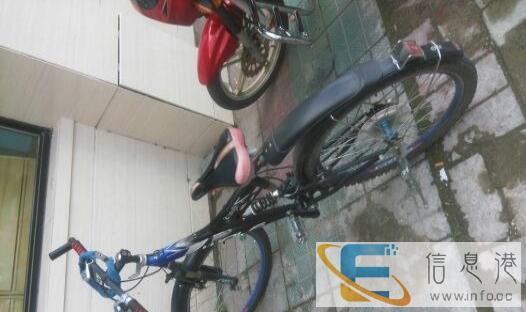 转让二手跑狼自行车一辆还有其它一些生活用品给有需要的人