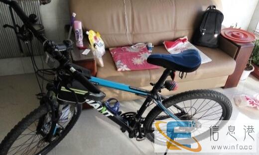 捷安特山地自行车