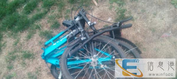 20寸折叠减震自行车