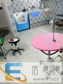 宠物寄养宠物洗护美容寄养一条龙服务