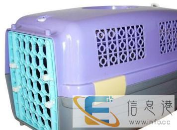 衡阳宠物托运全国客地