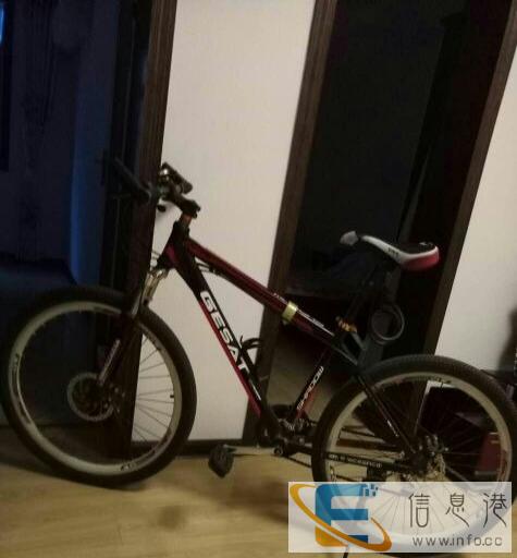 美国大行山地车