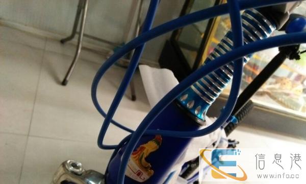 凤凰变速山地车,全新