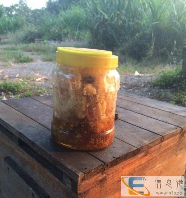 土蜂蜜,巢蜜,蜂王浆