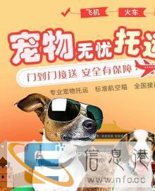 淮安宠物托运有三种方式 空运，火车，汽车