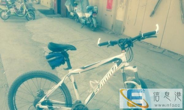 捷安特山地车