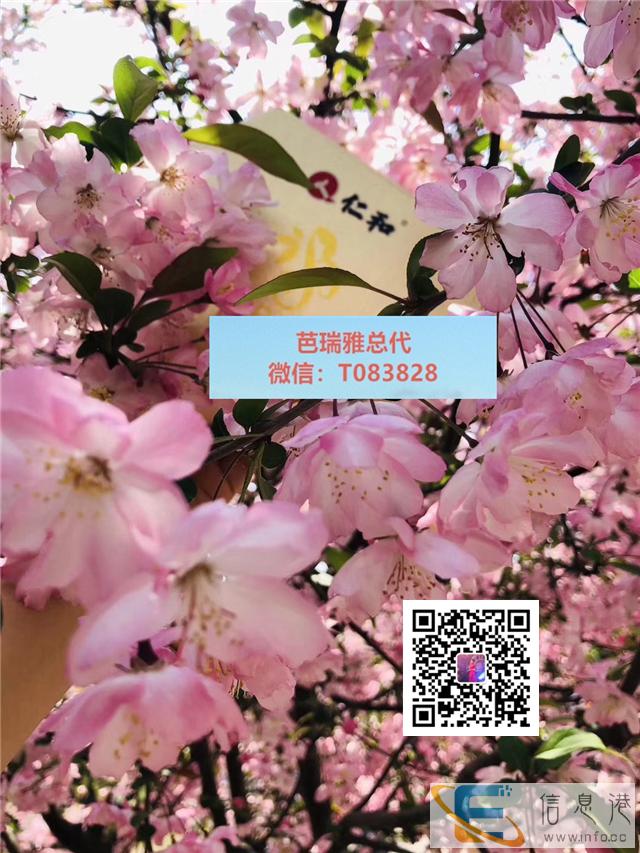 展览资讯 芭瑞雅 l全国总代理顾青