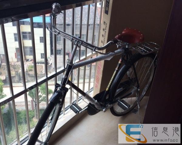 二八 自行车,送给爸爸好的礼物,回忆青春