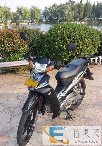 全新雅马哈C8、高配盘刹