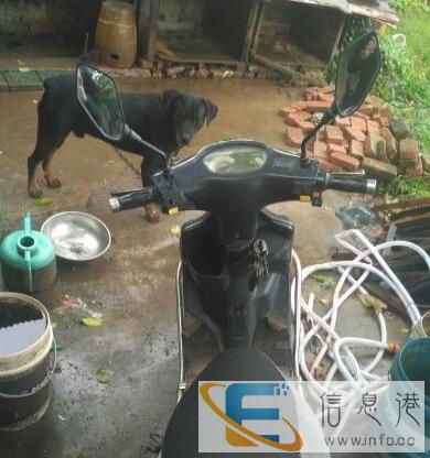 绿源60v20a电动车出售