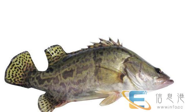 珠峰三轮准新车一台