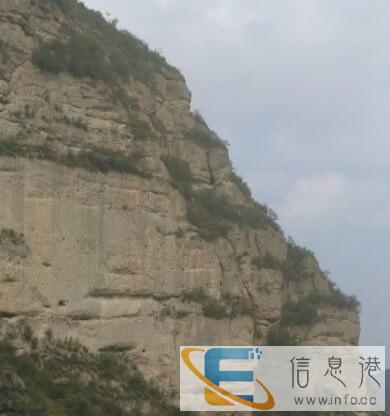 求购摩托车一辆