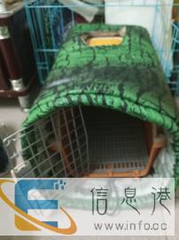 全国连锁宠物托运公司