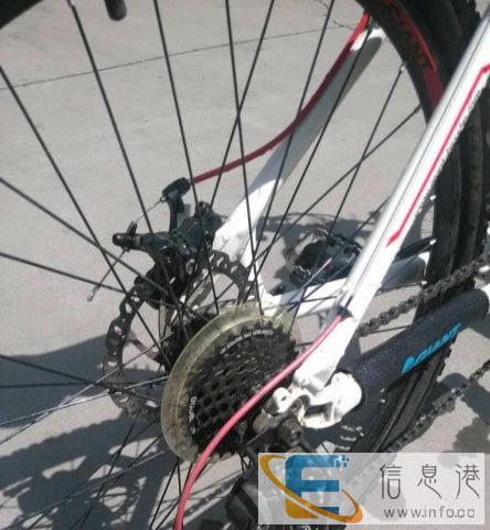 九成新捷安特转让
