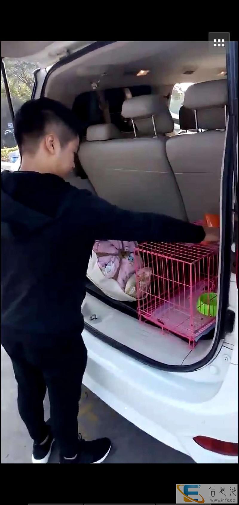 全国宠物托运24小时接送