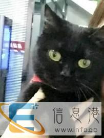 兴城好心人送你回家