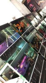 专业清理鱼缸鱼缸换水