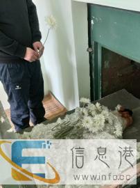 齐齐哈尔市宠物火化殡葬服务中心