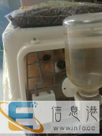 安徽宠乐游宠物托运