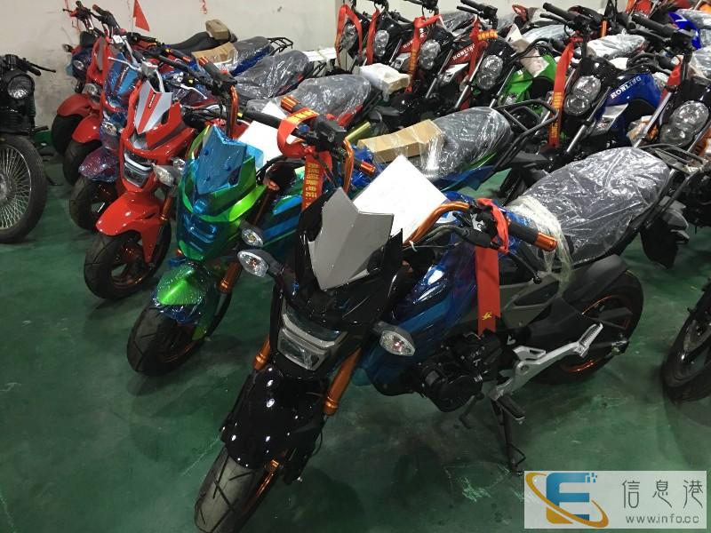 全新跑车北极光 小忍者 地平线 分期0元可购车